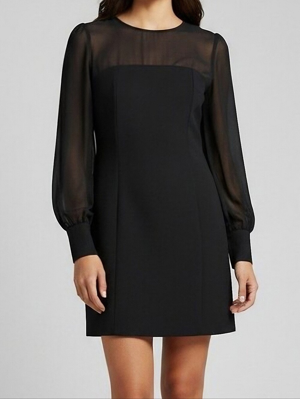 Anthropologie Maeve Sheer Long-Sleeve Mini Dress Size 8P